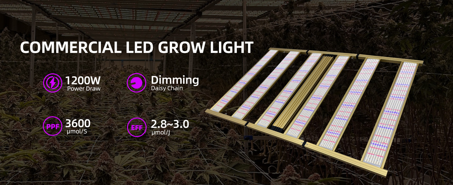 quality Full Spectrum LED Grow Light factory