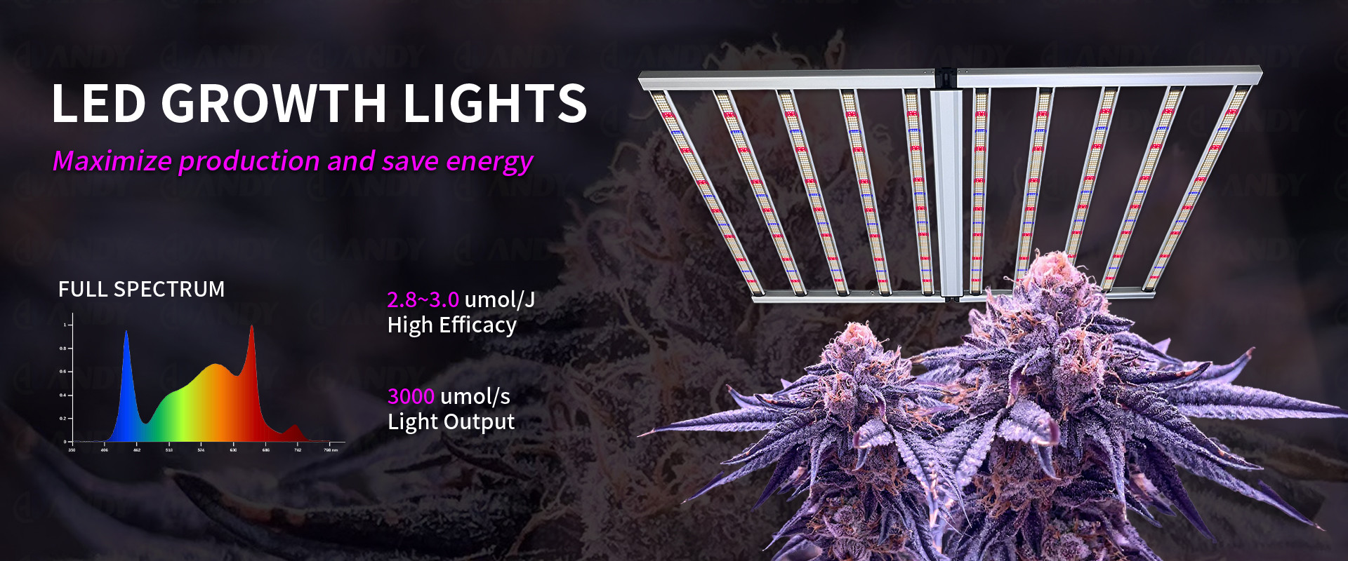 کیفیت طیف کامل LED رشد نور کارخانه