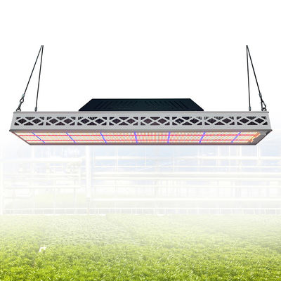 Module Top LED Grow Lights 640W Full Spectrum LED Grow Lamp For Indoor Plants
