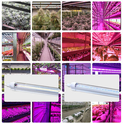 Waterproof LED T8 Grow Lights 18W 25W 36W Full Spectrum LED Grow Light Tube