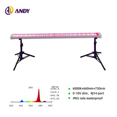 Dimmable LM301H EVO LM281B 730nm 660nm Red LED Grow Light 4Ft 120W 150W