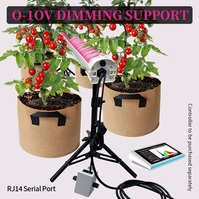 Dimmable LM301H EVO LM281B 730nm 660nm Red LED Grow Light 4Ft 120W 150W