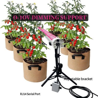 Deep Red Spectrum Daisy Chain 4ft 120W 150W Under Canopy Led Grow Lights for Bloom