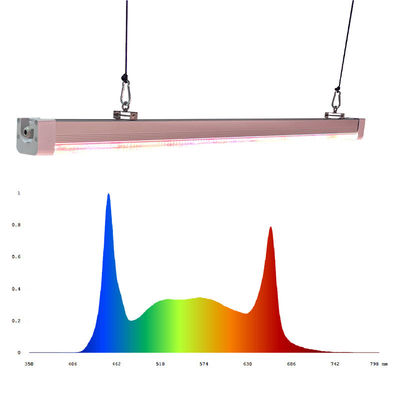 Customized LED Grow Lights 4Ft 120W 150W Plant Growing LED Light