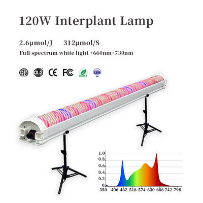 Customized LED Grow Lights 4Ft 120W 150W Plant Growing LED Light