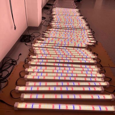 Customized LED Grow Lights 4Ft 120W 150W Plant Growing LED Light