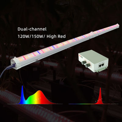 120W 150W Deep Red Grow Light Dual Channel Under Canopy LED Grow Light 4ft