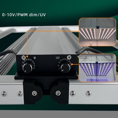 Wholesale Samsung Lm301H EVO Lm281B 10 Bar 4*4 4*6ft Full Spectrum LED Plant Grow Light 1000W with UV IR