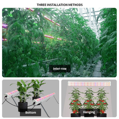 Adjustable Spectrum LED Grow Lights 4ft 100W 120W 150 Watt Full Spectrum LED Grow Light