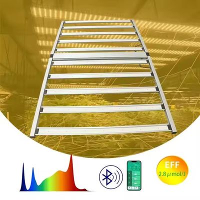 4X6ft 1000W Led Grow Light DLC ETL CE Certificated Daisy Chain Manufacturer