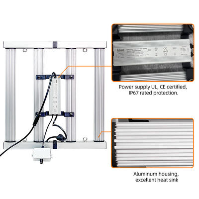 ANDY Daisy Chain Dim Commercial Small 4 Bar 240W LED Grow Lights Full Spectrum
