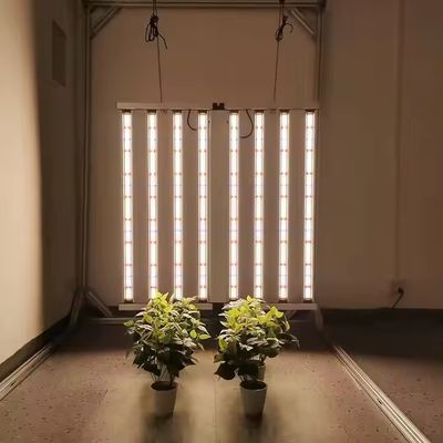 ANDY Led Plant Grow Lights 1000W Customized Full Spectrum Samsung Lm301H EVO LM281B Pro Indoor for Seed Bloom Veg
