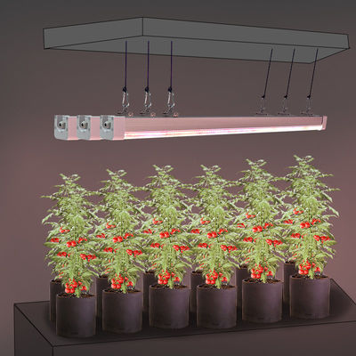 LM301H EVO LM281B Under Canopy LED Grow Lights 120W Full Spectrum