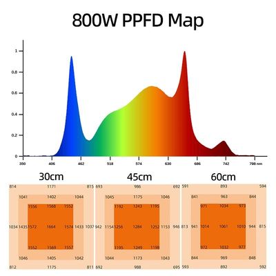 ANDY Customized1000W LM281b Full Spectrum 800W Led Grow Light Bar  Samsung LM301h Evo for Veg Bloom Hydroponic