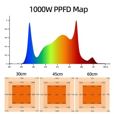 ANDY 1000W Plant Led Grow Lights Full Spectrum Dimmable Samsung LM301h EVO LM281b for Indoor Veg Fruit Tomato