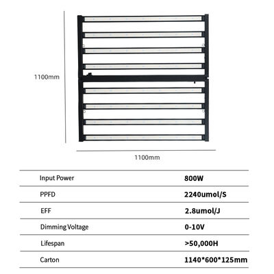 LM281B Led Grow Light 800W Horticulture Microgreen Strawberry Tomato Full Spectrum Dimmable Samsung LM301h EVO for  Bloom Seed