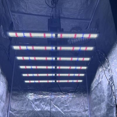 Custom Full Spectrum Far Red LED Grow Light 500W Commercial Indoor Hydroponic Grow Lights