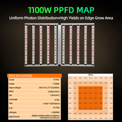 ANDY Customizable Hydroponic Samsung LM301H EVO Dual-channel 1100W LED Grow Light with UV
