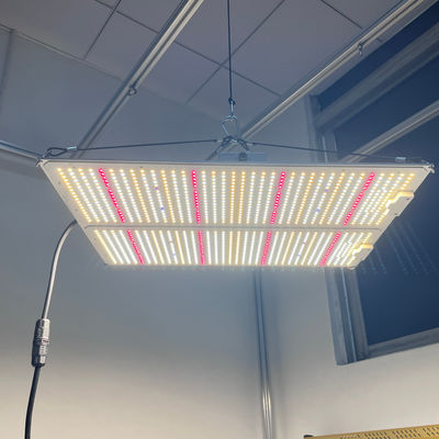 100W 200W 400w Full Spectrum LED Grow Light SAMSUNG LM301H EVO LM301B LM281B