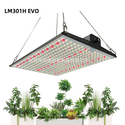 Full Spectrum Indoor Plant Grow Light 2x2ft 3x3ft LED Grow Light