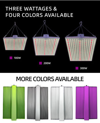 Full Spectrum Indoor Plant Grow Light 2x2ft 3x3ft LED Grow Light