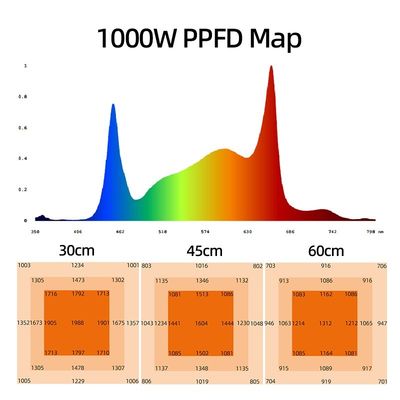 ANDY 4×6FT 1000W Led Grow Light Full Spectrum  Hydroponic Plant Lamp Dimmable SAMSUNG Lm301h Evo Lm281b for Tomato Tequila Veg