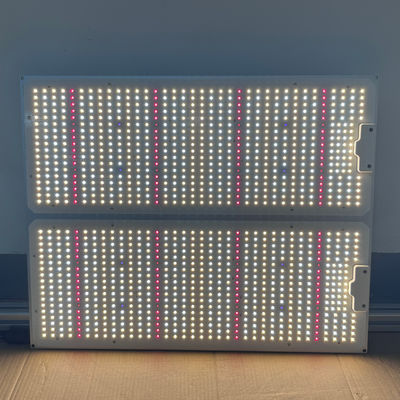 400W Cultivation LED Light Full Spectrum LED Grow Lamps For Indoor Plants