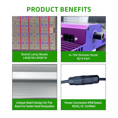 300 Watt Quantum Board Grow Light Full Spectrum LED Panel Grow Light