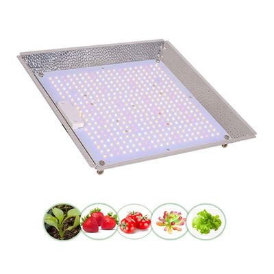 Greenhouse Dimmable Plant Growth Light Full Spectrum LM301H Far Red LED Grow Light