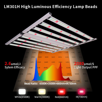 ANDY Full Spectrum 3.0μmol 4×4ft 8 Bar 800W LED Grow Lights Samsung LM301H Chips for Vegetable Flowers