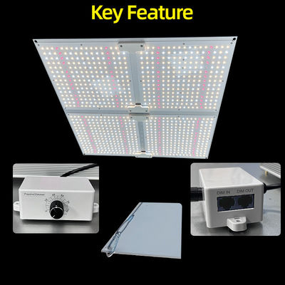 High PPFD Grow Lights 100W 200W 400W 600W Full Spectrum LED Light Panel For Plant Growth