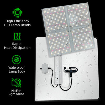 High PPFD Grow Lights 100W 200W 400W 600W Full Spectrum LED Light Panel For Plant Growth