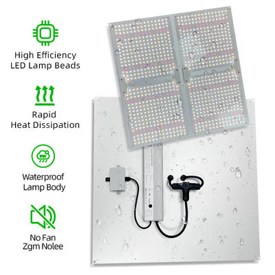 100W 200W 400W Full Spectrum LED Grow Light Board Dimmable Plant Growth Light