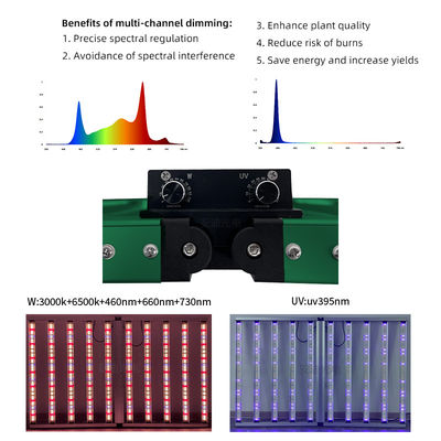 Commercial Hydroponic Full Spectrum 4x6ft 10 Bar Dual-channel UV 1100W LED Grow Lights with SAMSUNG LM301H EVO LM281B Chips