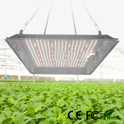 ANDY Quantum Board Grow Light 100W 150W 300w Full Spectrum LED Grow Light