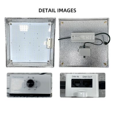 ANDY Quantum Board Grow Light 100W 150W 300w Full Spectrum LED Grow Light