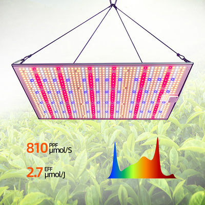 Full Spectrum Quantum Board Grow Light 100W 200W 300W For Grow Tent Seedling
