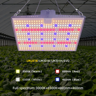 Dimmable LED Grow Light Quantum Board 100W 200W 300W For Household Cultivation