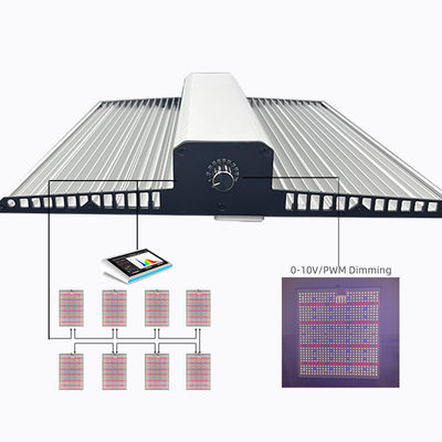 Dimmable LED Grow Light Quantum Board 100W 200W 300W For Household Cultivation