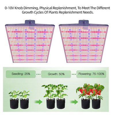 Dimmable LED Grow Light Quantum Board 100W 200W 300W For Household Cultivation