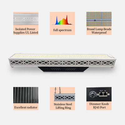 Soccer Field Sports Top LED Grow Lights Customized 640W LED Grow Light Waterproof IP67