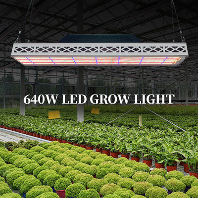 Soccer Field Sports Top LED Grow Lights Customized 640W LED Grow Light Waterproof IP67