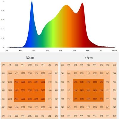 Soccer Field Sports Top LED Grow Lights Customized 640W LED Grow Light Waterproof IP67