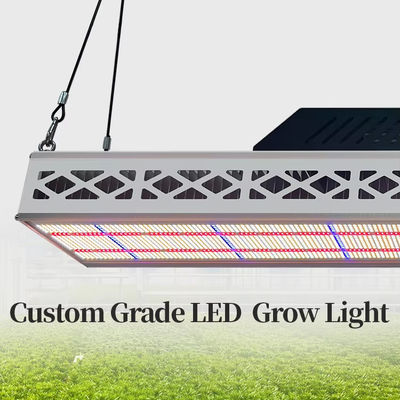 640W Top LED Grow Lights Full Spectrum Plant Growth Lamp For Greenhouse Seedling Flowering