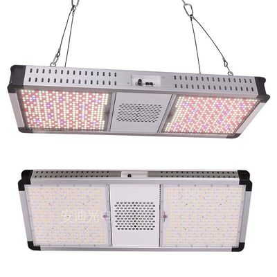 Commercial Greenhouse Grow Lights 800W Red And Blue Spectrum LED Grow Lights Hydroponics