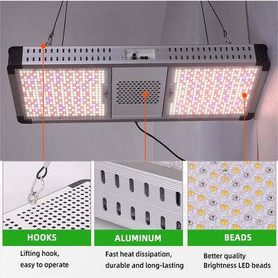Commercial Greenhouse Grow Lights 800W Red And Blue Spectrum LED Grow Lights Hydroponics