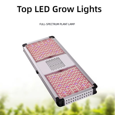 Commercial Greenhouse Grow Lights 800W Red And Blue Spectrum LED Grow Lights Hydroponics