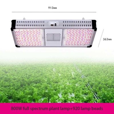 Dimmable Top LED Grow Lights Full Spectrum 800 Watt LED Grow Light