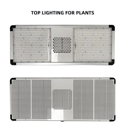 Dimmable Top LED Grow Lights Full Spectrum 800 Watt LED Grow Light