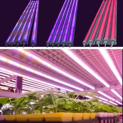 Indoor 36W 25W 18W UV IR NIR T8 LED Tube Grow Light 6500K 460nm 660nm 395nm For Hydroponics